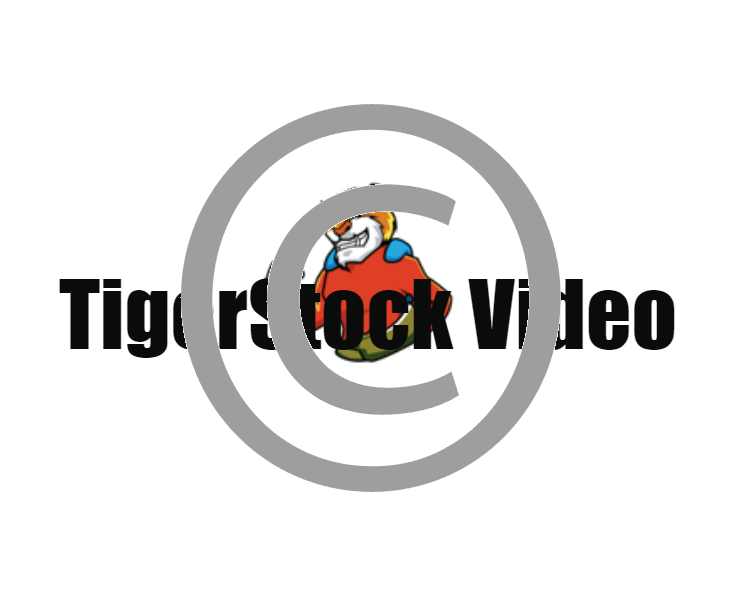 Youtube clipart music. Action backgrounds tigerstock buying
