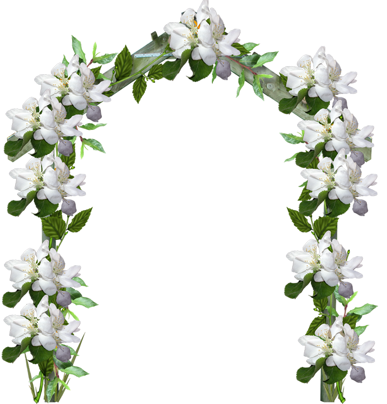 flower arch png