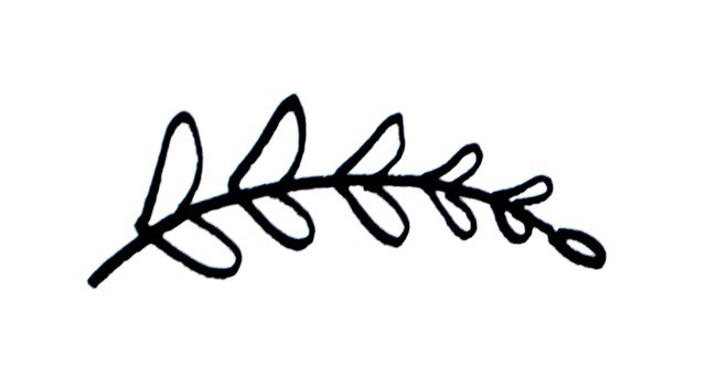 vines clipart curved