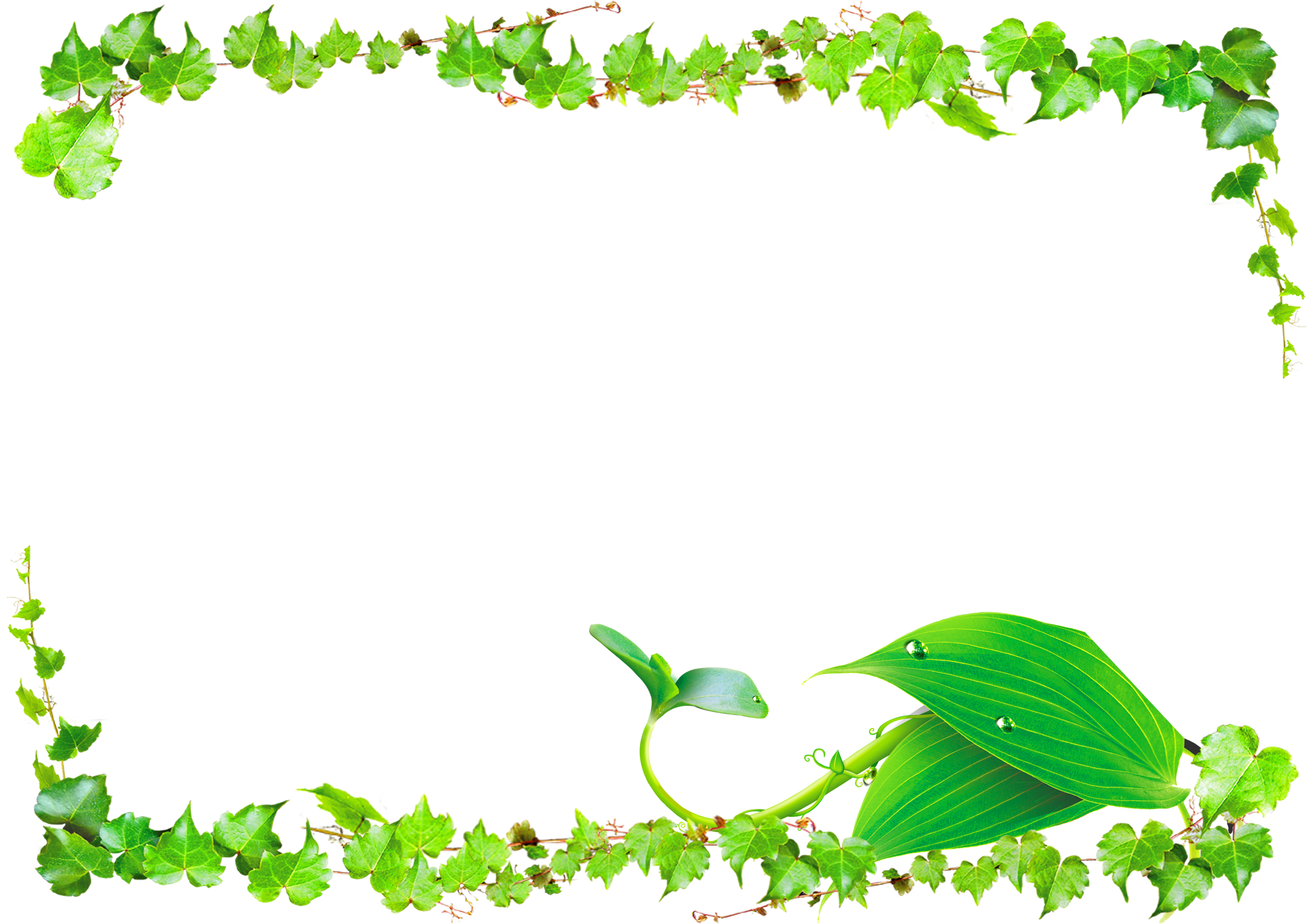 vines-clipart-leaf-vine-vines-leaf-vine-transparent-free-for-download