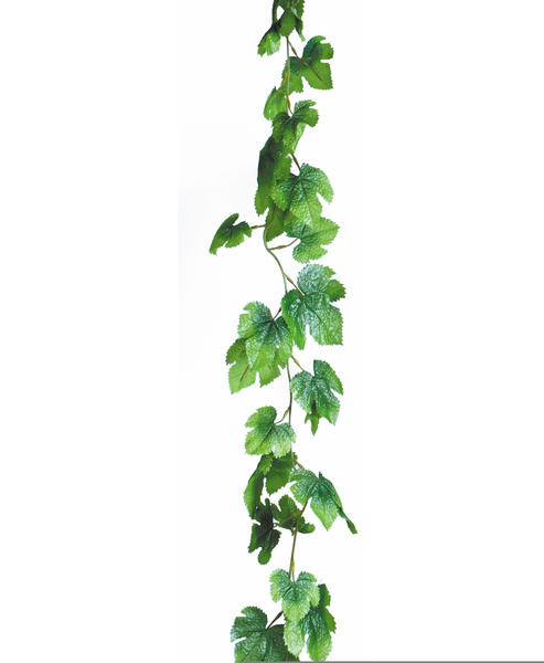 vines clipart long vine