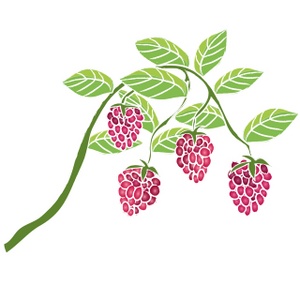 vines clipart raspberry