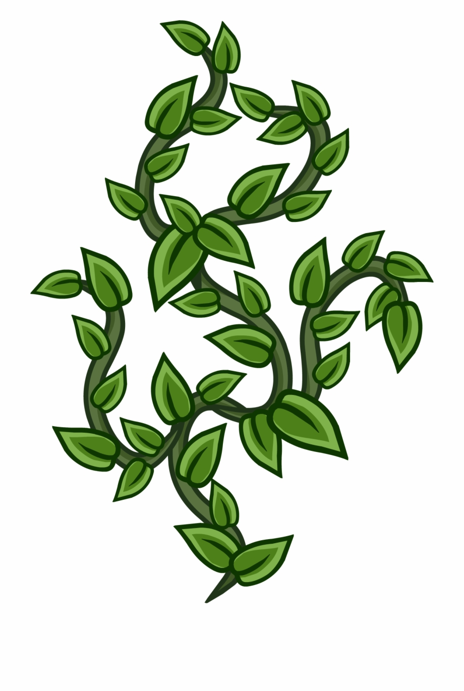 vines clipart wall