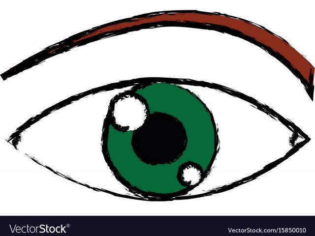 vision clipart green eye
