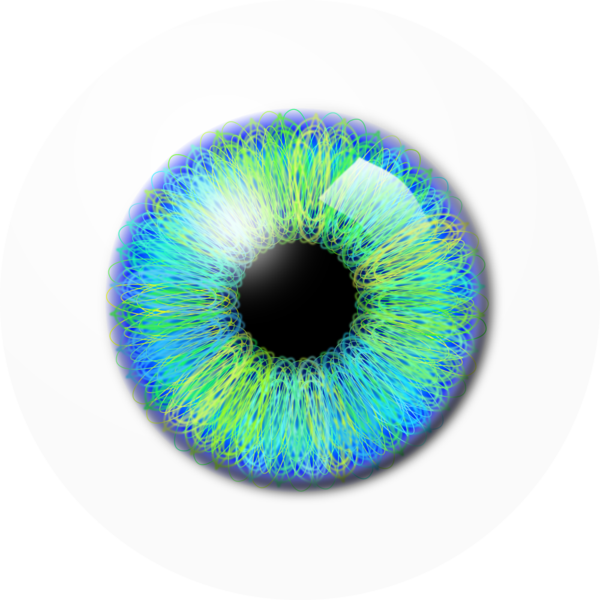vision clipart green eye