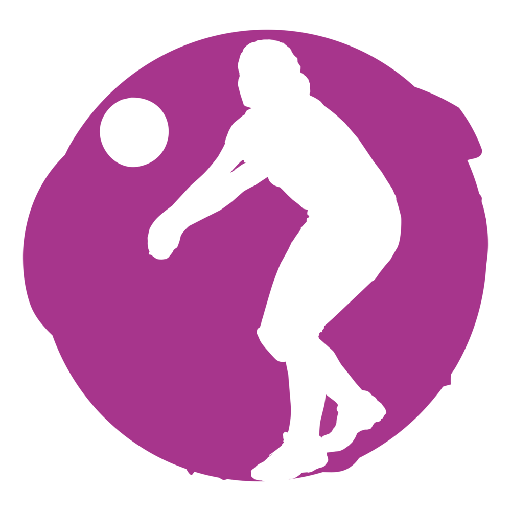 Volleyball clipart purple. Wppp balloon leeds south