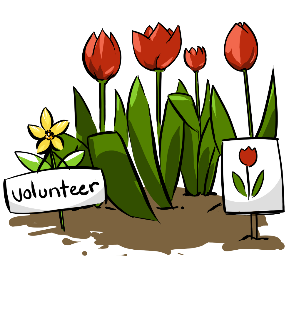 Can you have volunteers. Volunteering clipart staff member