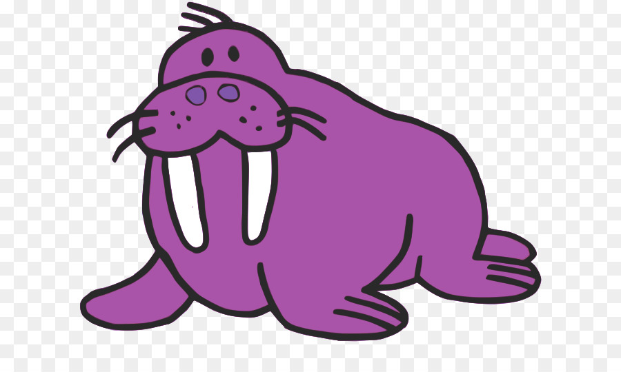 Walrus clipart. Sea lion drawing clip