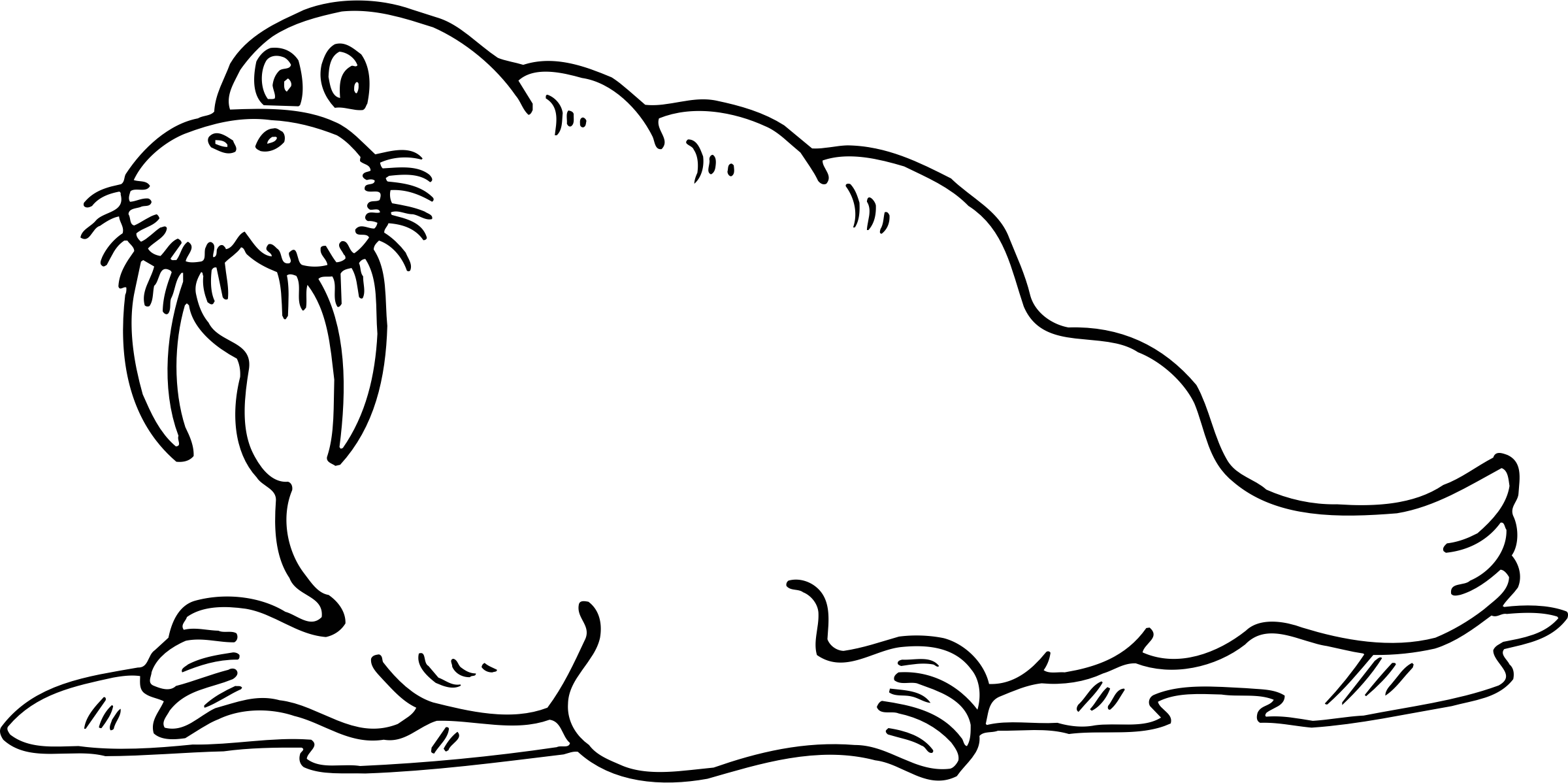 Black and white crazywidow. Walrus clipart baby
