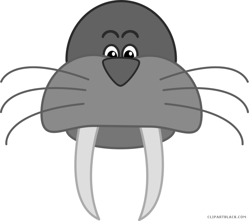 walrus clipart black and white