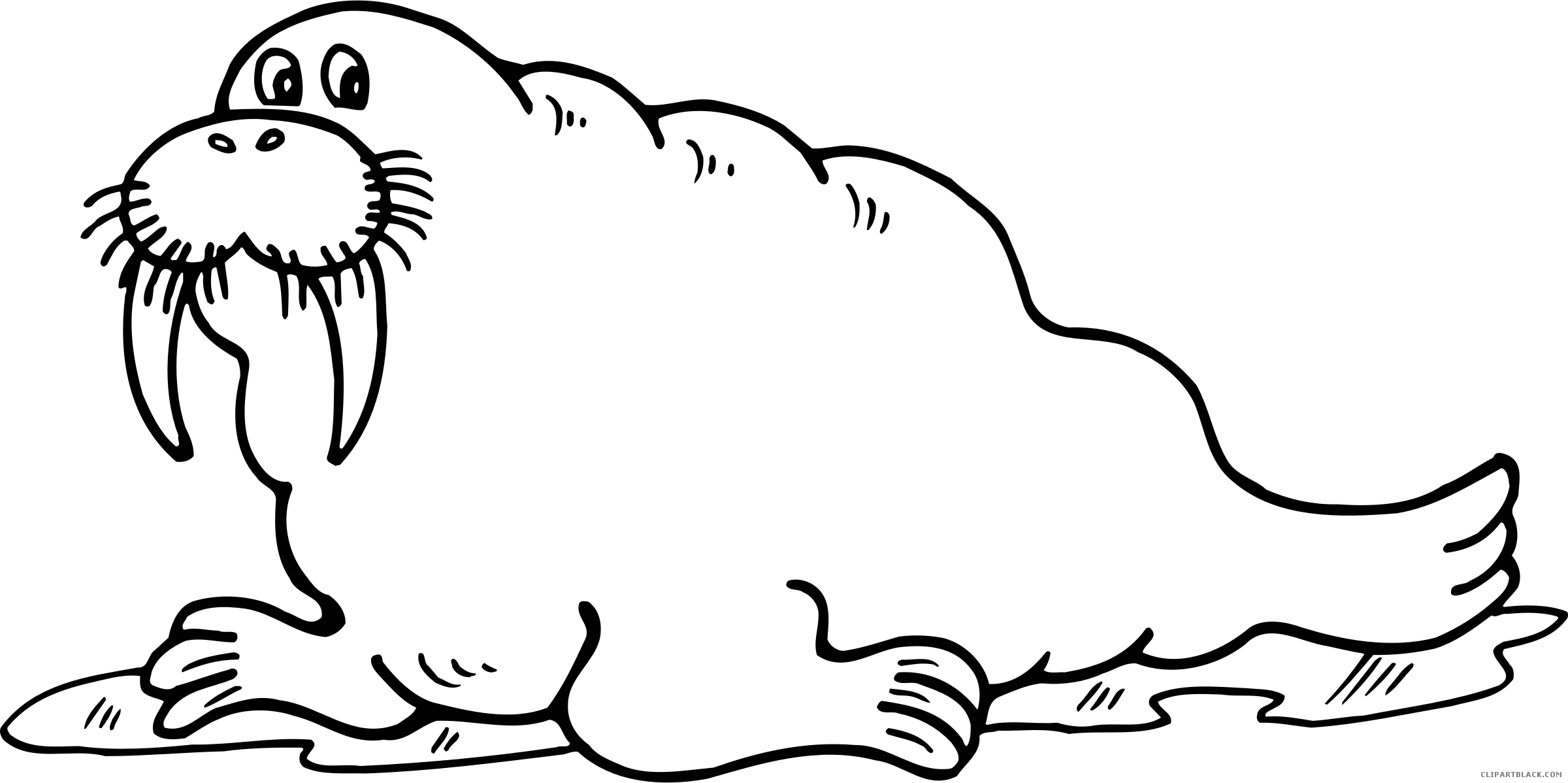 Page of clipartblack com. Walrus clipart black and white