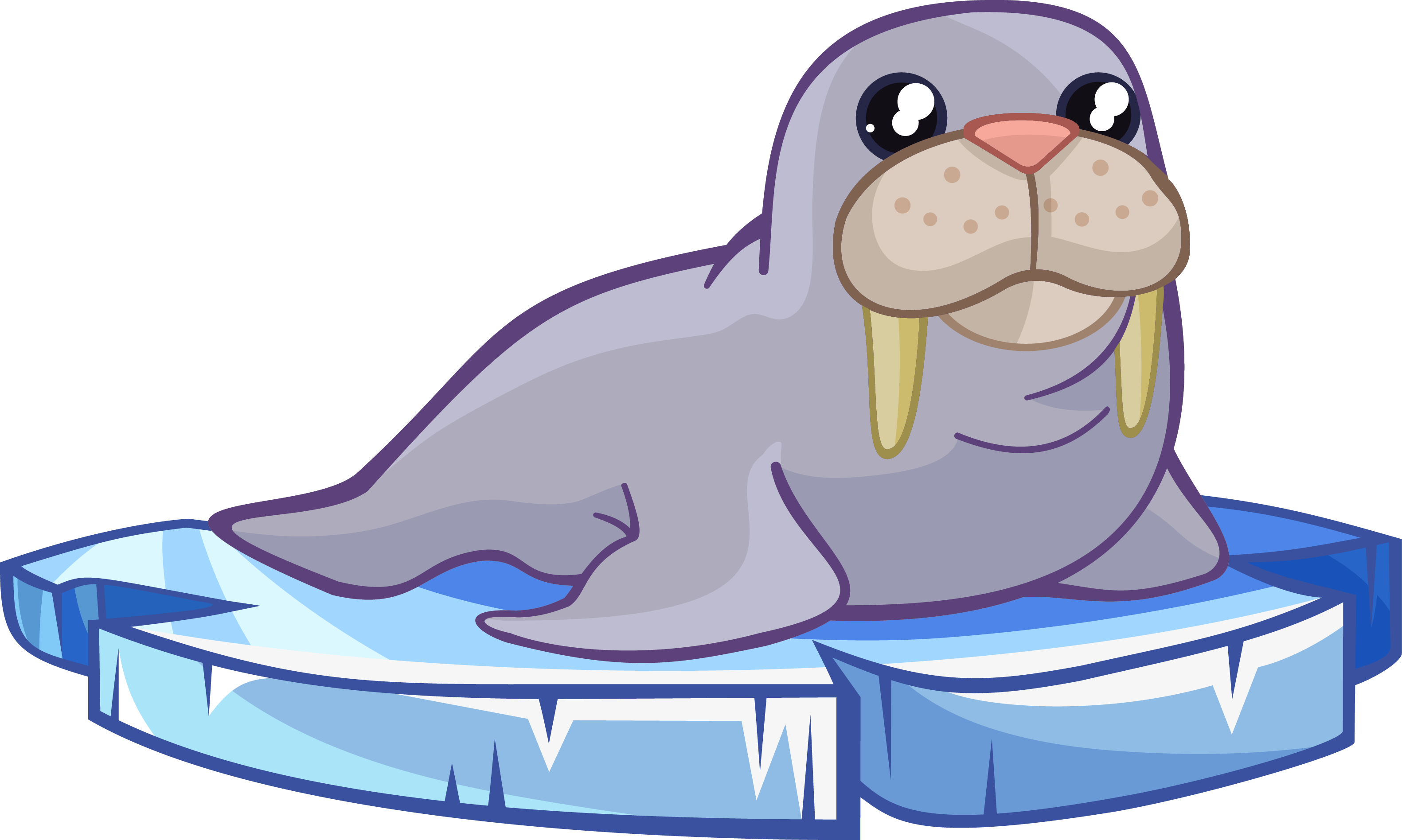 Walrus clipart clip art. Free to use cliparts
