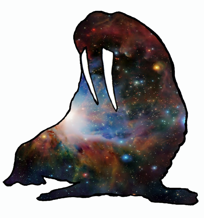 Walrus clipart drawing. Space by neosgathach on