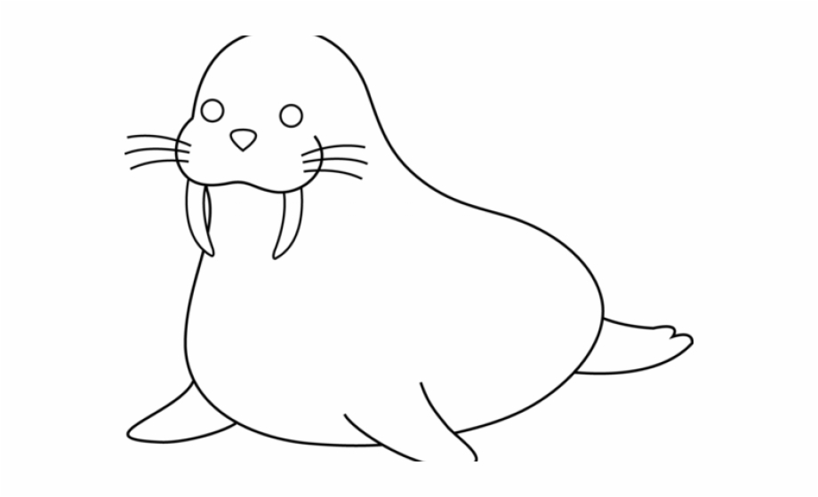 Walrus clipart drawing. Antarctica clip art free