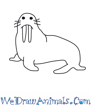 How to a . Walrus clipart easy draw
