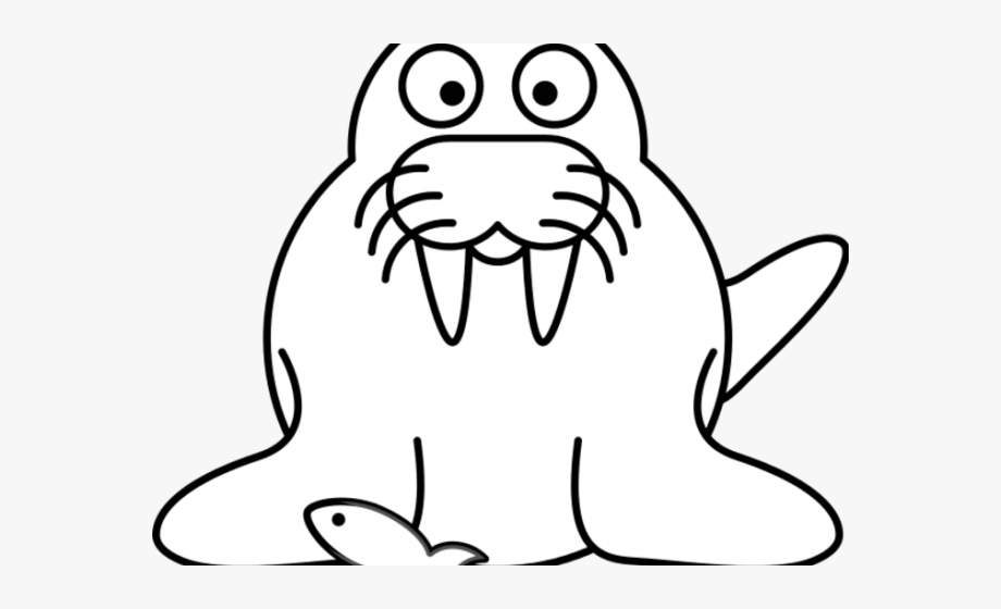 Walrus clipart object. Pie outline cliparts cartoons