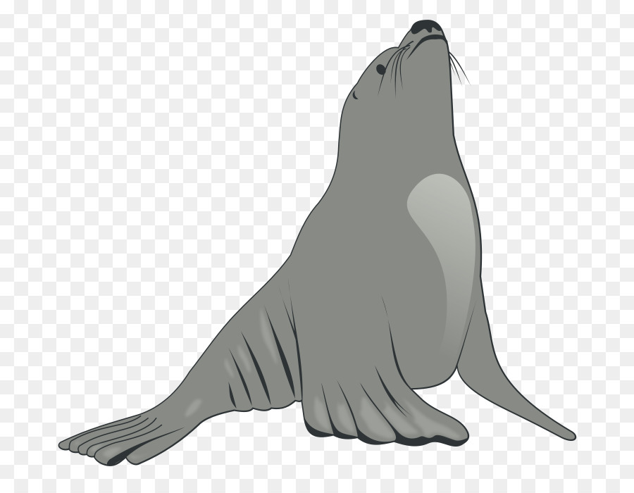 Bird png download free. Walrus clipart sea lion