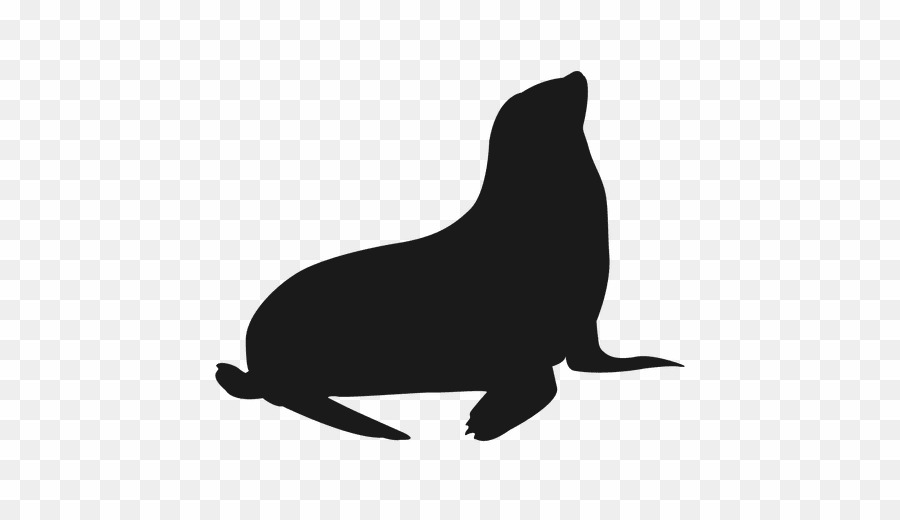 Logo png cat download. Walrus clipart sea lion