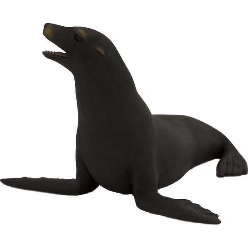 Walrus clipart sea lion. California earless seal png