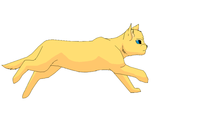 Cat gif cute and. Warrior clipart animated