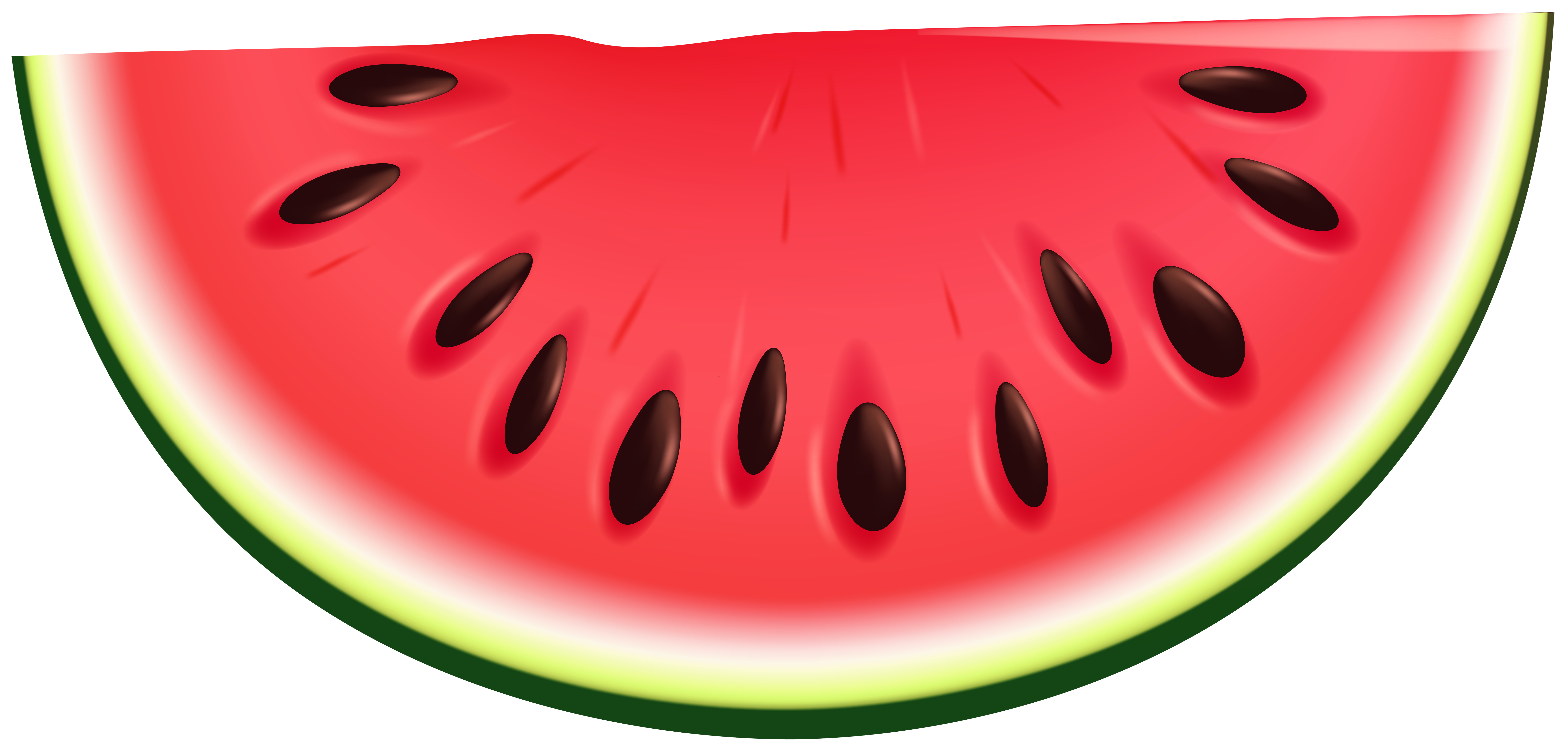 watermelon clipart