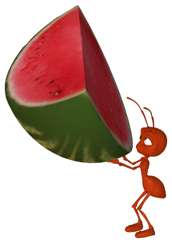 Carrying clip art . Watermelon clipart ant
