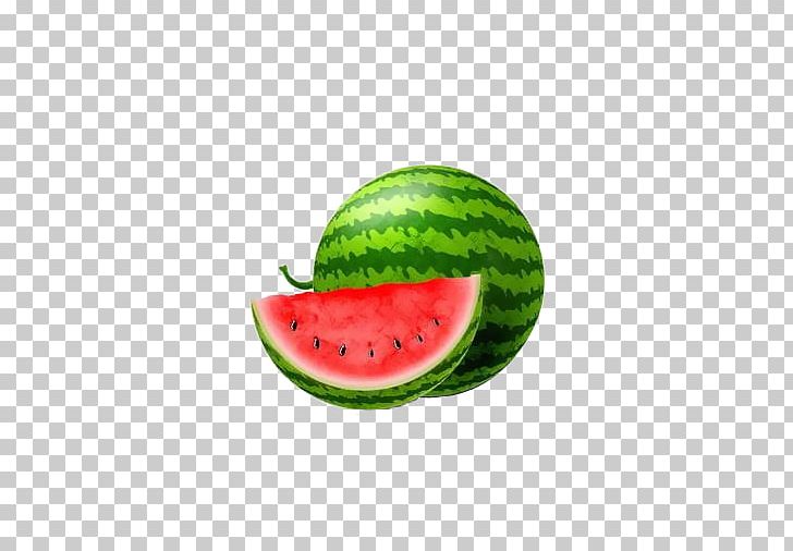 Cantaloupe honeydew melon png. Watermelon clipart bitter gourd