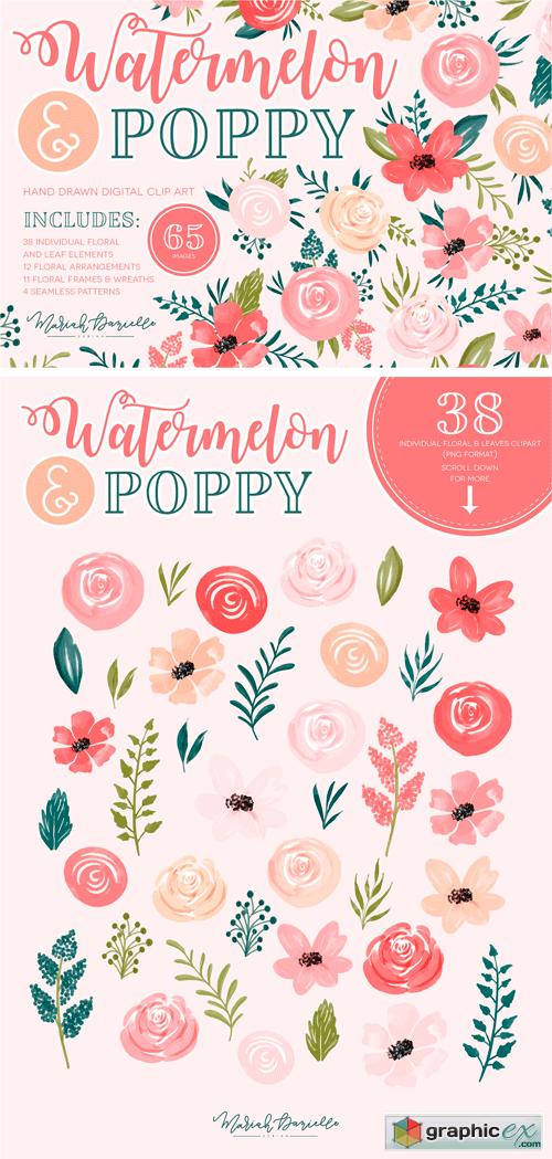Poppy floral graphic set. Watermelon clipart flower