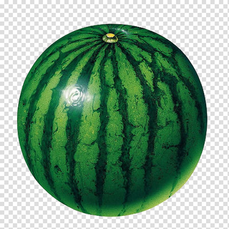 Watermelon clipart green object. Circle shape fruit transparent
