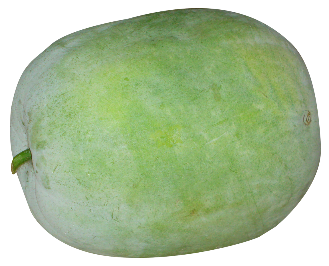 Watermelon clipart honeydew. Winter melon png image