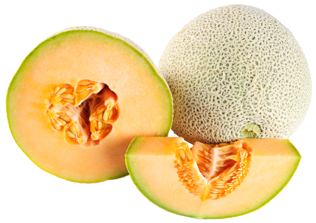 Ripe cantaloupe melon png. Watermelon clipart honeydew