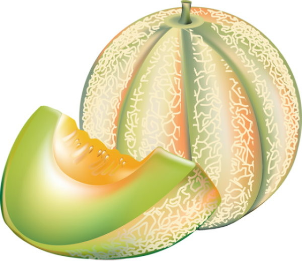  collection of melon. Watermelon clipart honeydew