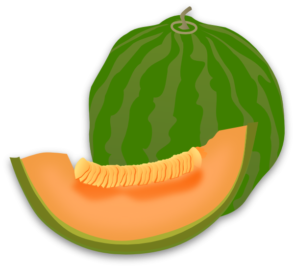 Watermelon clipart honeydew.  collection of melon