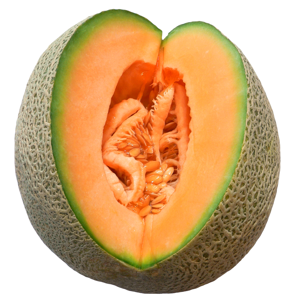 Watermelon clipart muskmelon. Melon png images pngpix