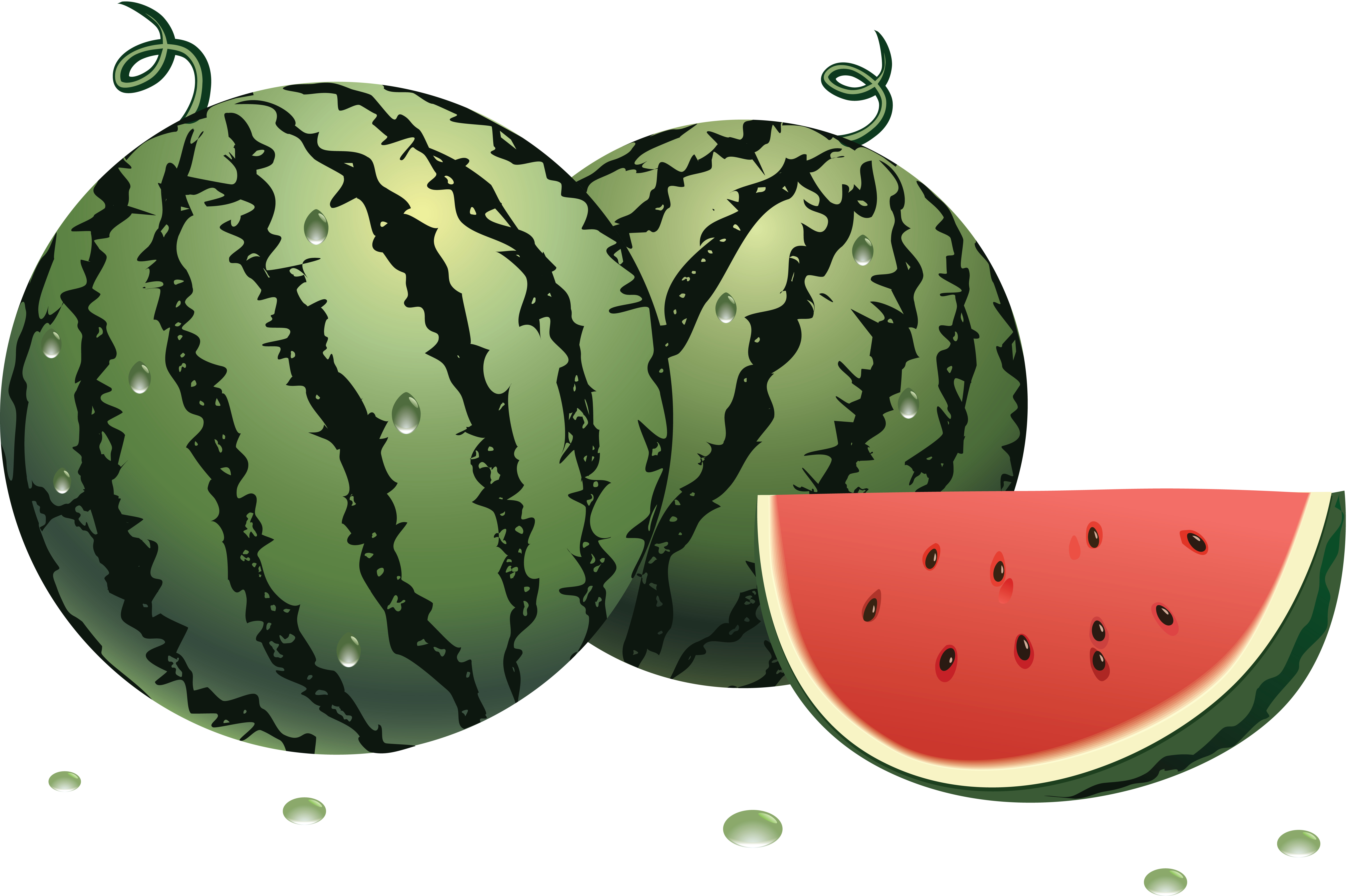 watermelon clipart single fruit