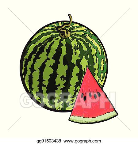 Vector illustration whole and. Watermelon clipart triangular object