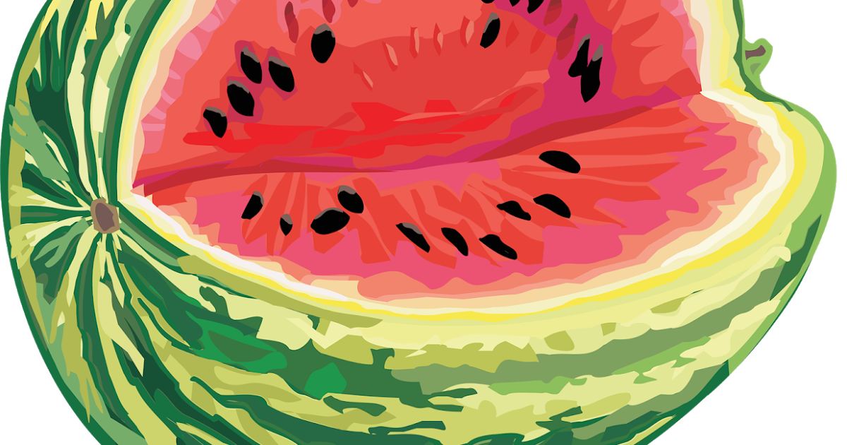 Watermelon clipart vintage. The multicolored diary w