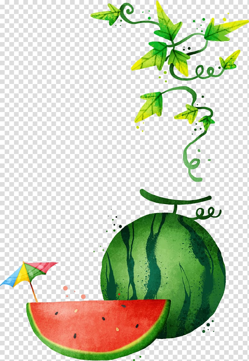 Watercolor painted melon . Watermelon clipart watermelon vine