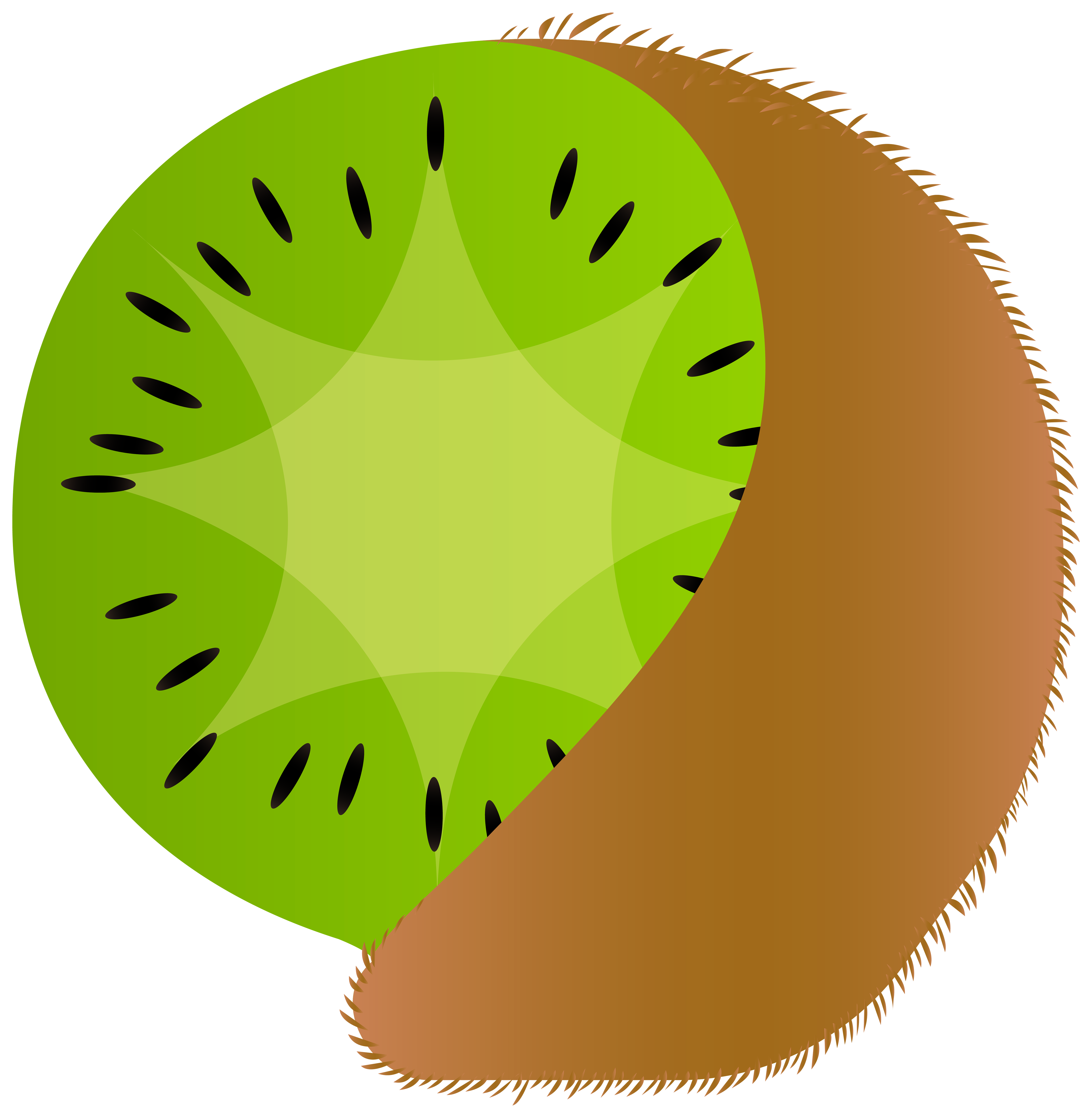 Kiwi fruit at getdrawings. Watermelon clipart whole