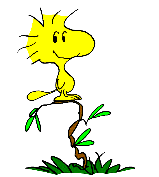 Wednesday clipart woodstock. Drawing by bradsnoopy on