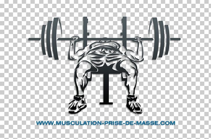 Barbell crossfit png angle. Weight clipart bench press bar