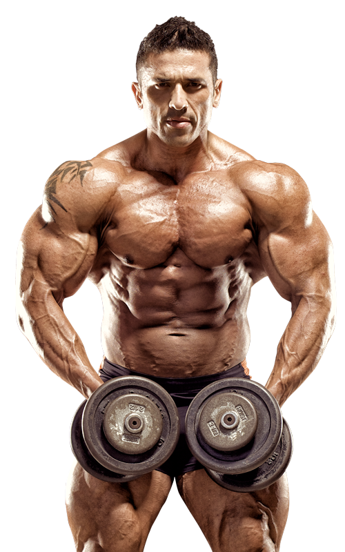 Bodybuilding png images free. Weight clipart body building