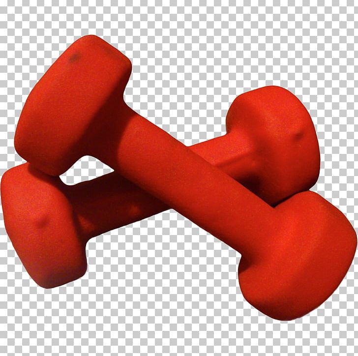 Weight clipart hand weight. Training dumbbell physical strength