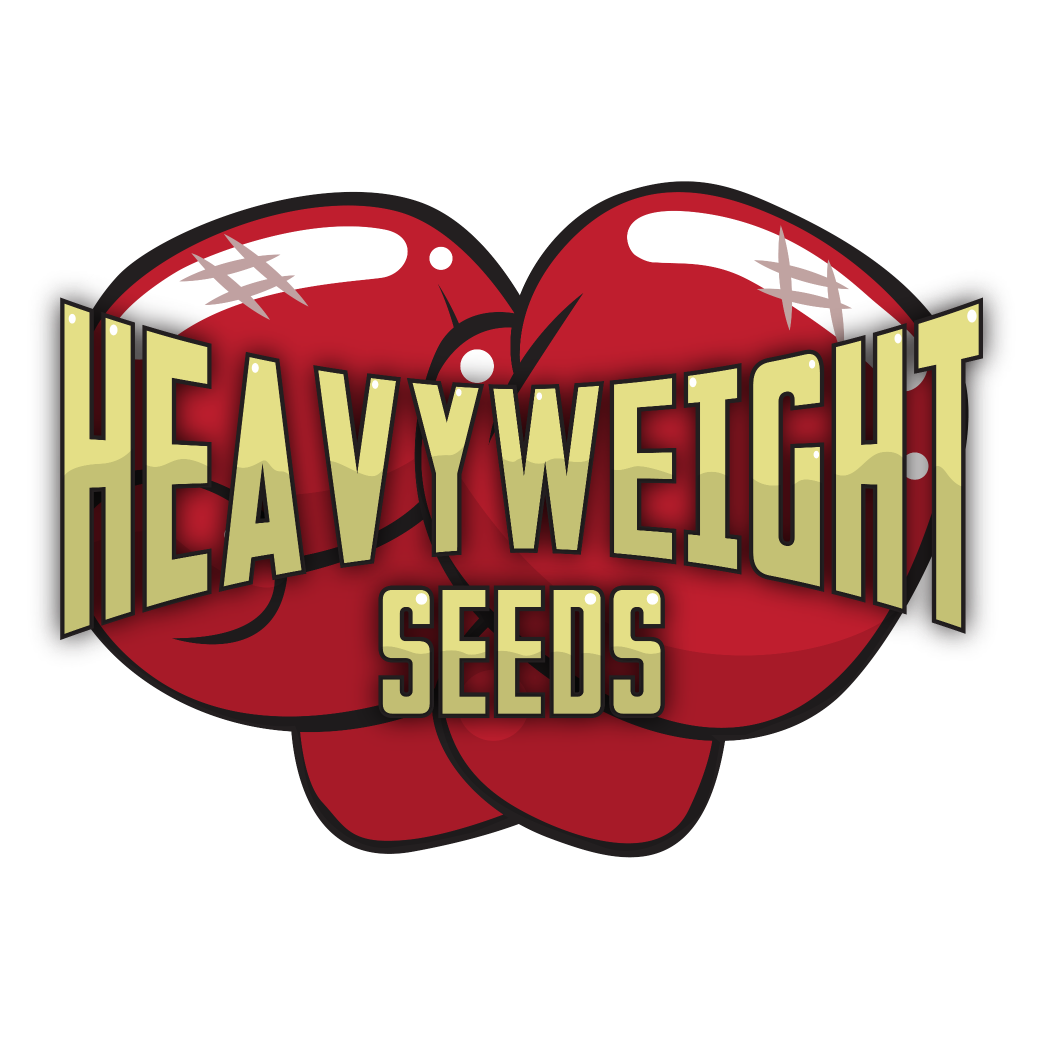 Weight clipart heavy weight. Heavyweight seeds heavyweightseed twitter