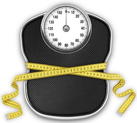 Things the won t. Weight clipart weight loss scale