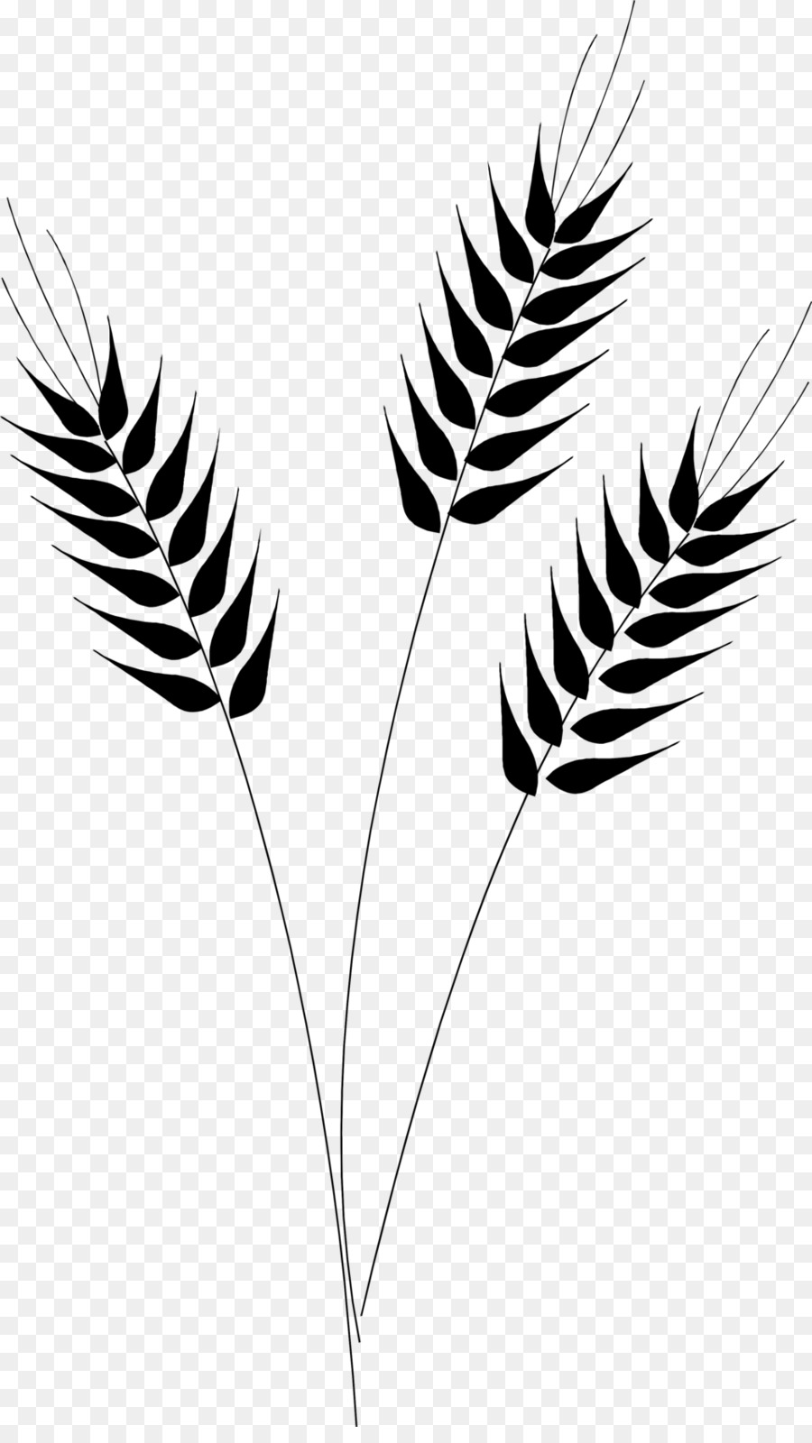 Grains clipart wheat stem. Desktop wallpaper clip art