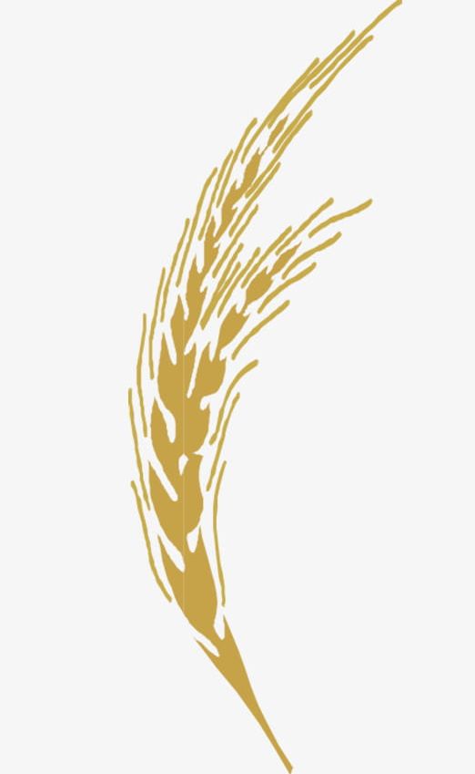 Wheat clipart abstract. Golden png backgrounds computer