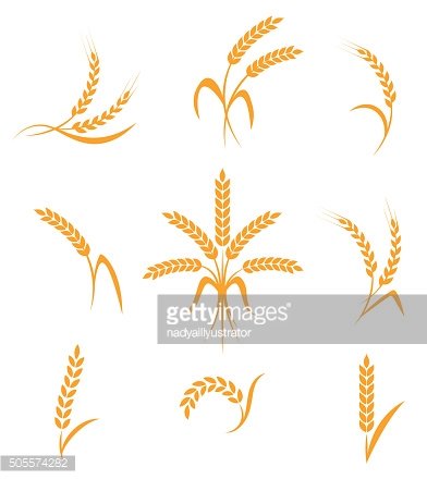 Wheat clipart abstract. Ears icons premium clipartlogo