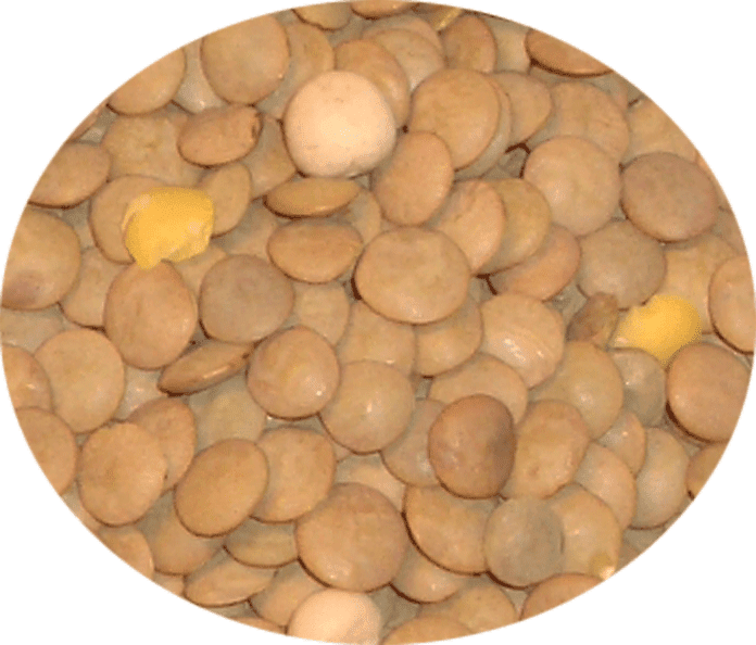 Wheat clipart bajra. Indian khana made easy
