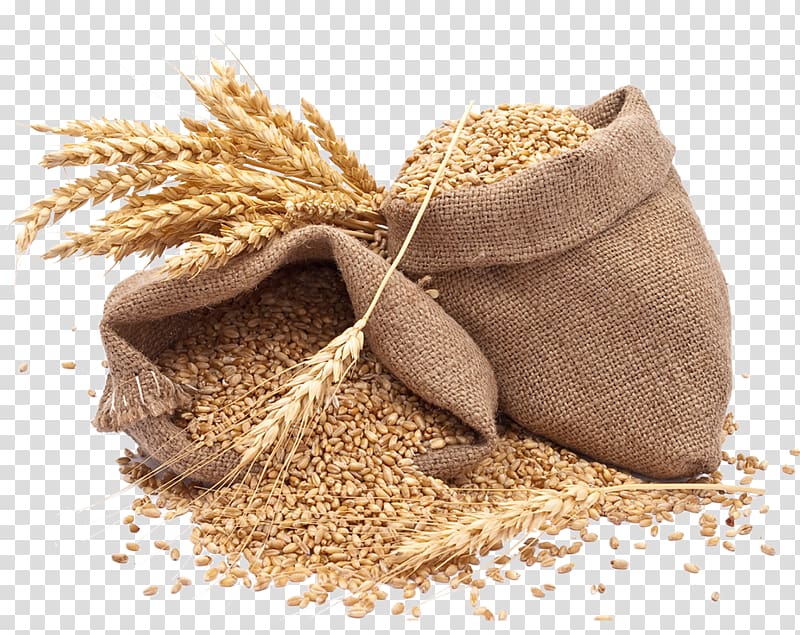 wheat clipart grain bag